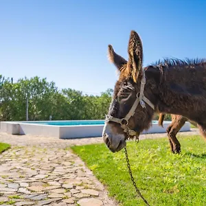 Burro Alloggio per agriturismo